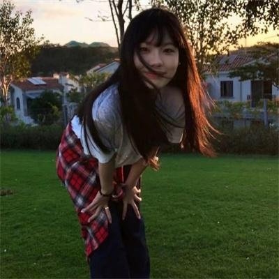 我的朋友是萌鲨